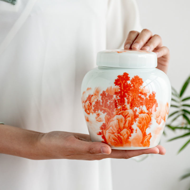 Kaleng Kedap Udara Motif Lansk - Dry Food Snacks ulasan dan harga