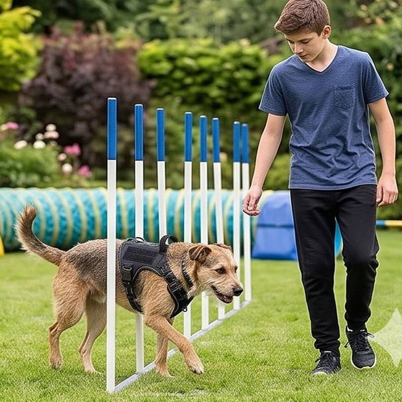 Tas Makanan Anjing Universal V - Food Snacks For Hiking ulasan dan harga