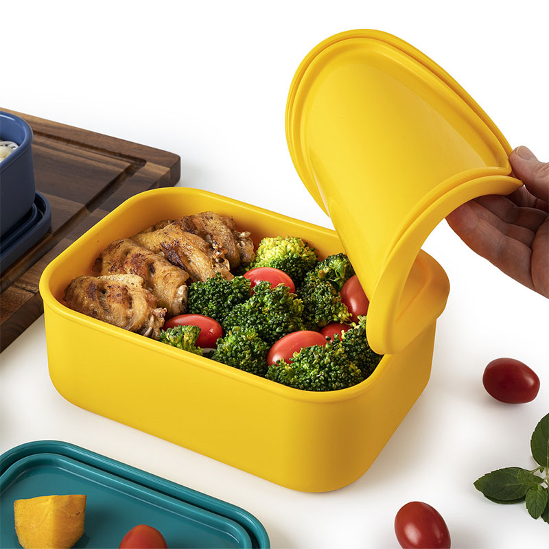 Set kotak makan silikon aman u - Food Snacks For Picnic ulasan dan harga