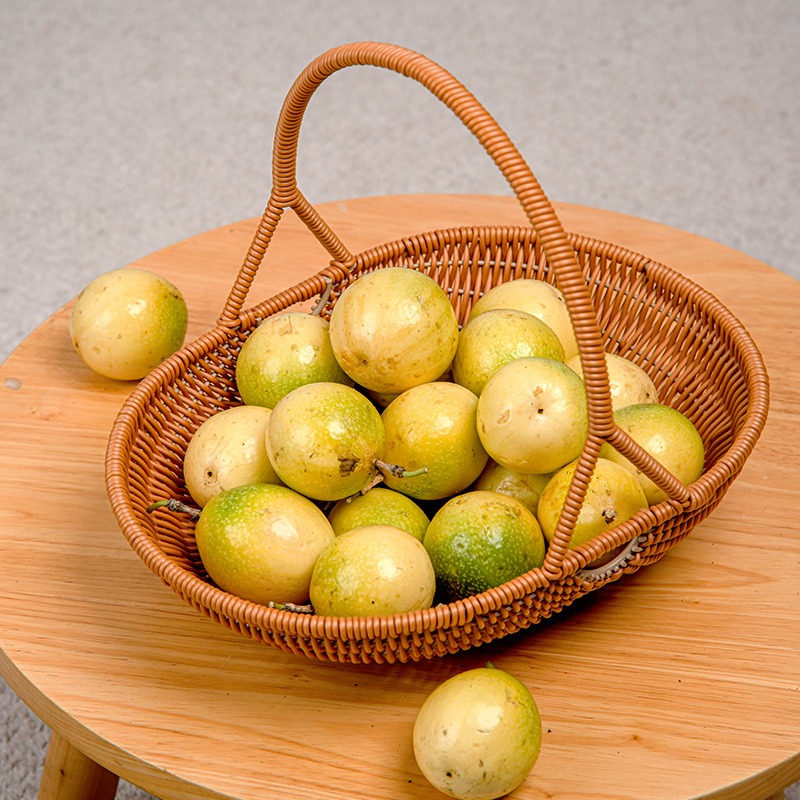 Keranjang Tangan Anyaman Rotan - Food Snacks For Picnic ulasan dan harga